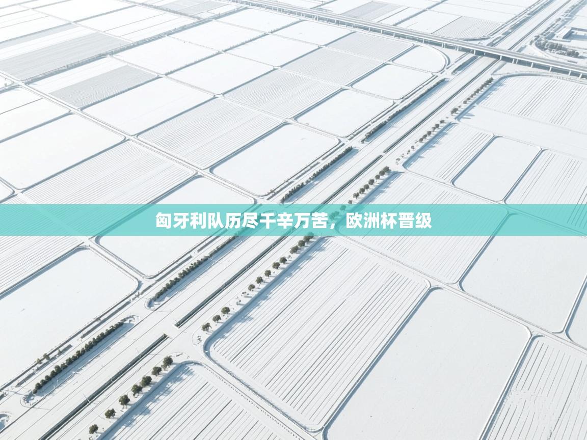 匈牙利队历尽千辛万苦，欧洲杯晋级  第1张