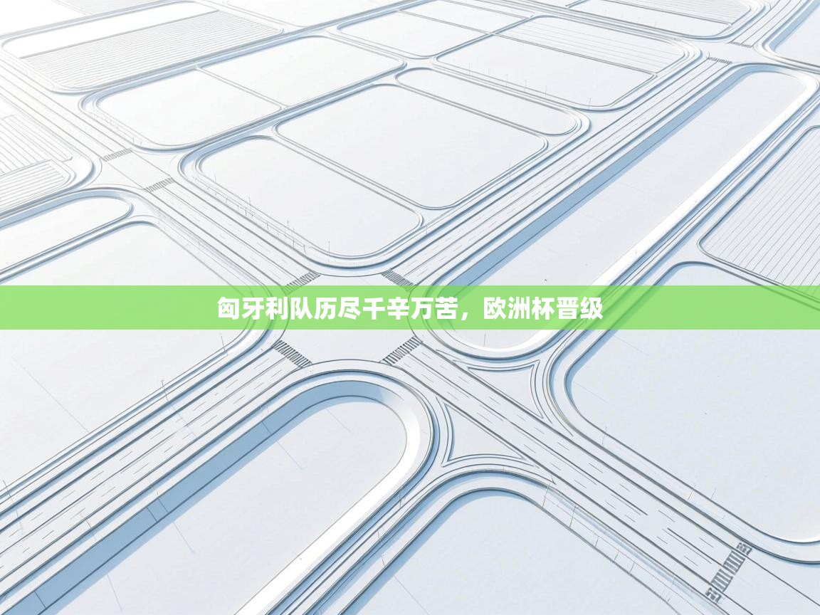 匈牙利队历尽千辛万苦，欧洲杯晋级  第2张