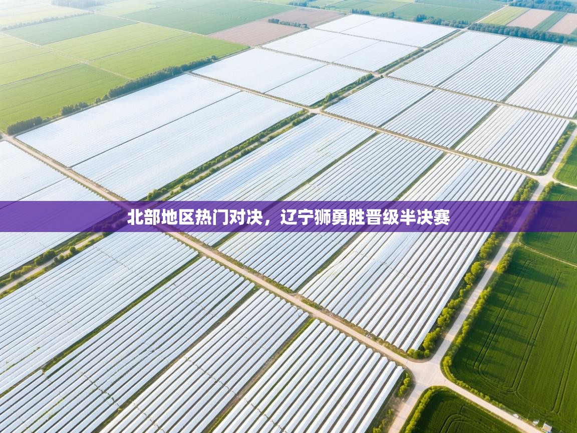 北部地区热门对决，辽宁狮勇胜晋级半决赛  第1张