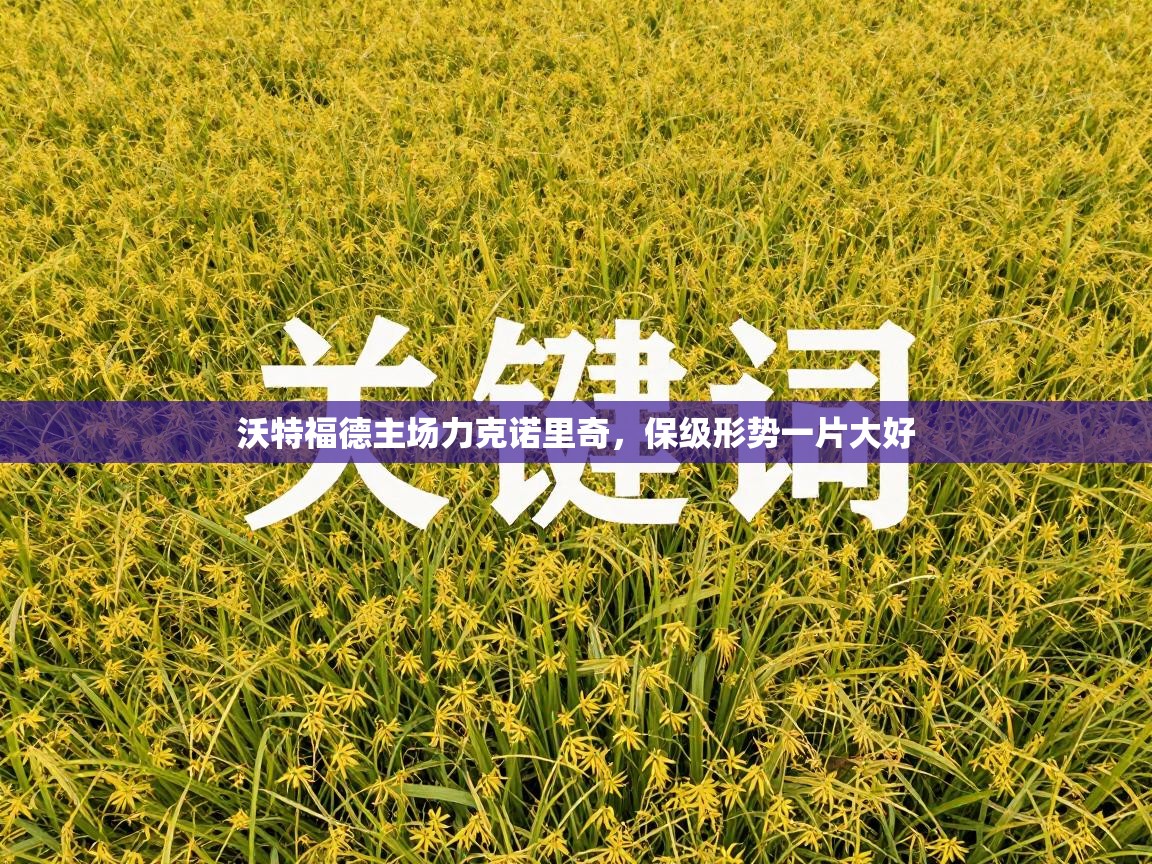 沃特福德主场力克诺里奇，保级形势一片大好  第2张